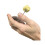 Set F????st??? Synergy FlowArts Modular Palm (?e????) - F?t???a Crown Knot - ????????e?a ??a ?a ta???????? se ??a ta ?e???? ?e???? - ?p?d?s? f?t??? 3