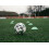 Mitre Mitre Unisex Soccer Ball Training Impel 4