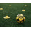 Mitre ?p??a p?d?sfa???? Mitre Unisex Training Impel 4