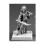 Reaper Miniatures Darkspawn: Evshyvandra Duskwidow Dark Elf Warrior 1