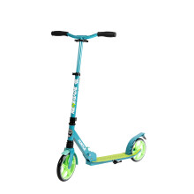 Hurtle Renegade Kick Scooters for Kids Teenagers Adults- 2 Wheel Kids Scooter with Adjustable T-Bar Handlebar - Alloy Anti-Slip Deck - Portable Foldin