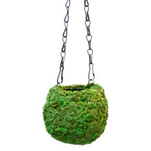 SuperMoss (29346) Kokedama plantenbak 10 cm fris groen