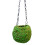 SuperMoss (29346) Kokedama Planter  4""""  Fresh Green 1