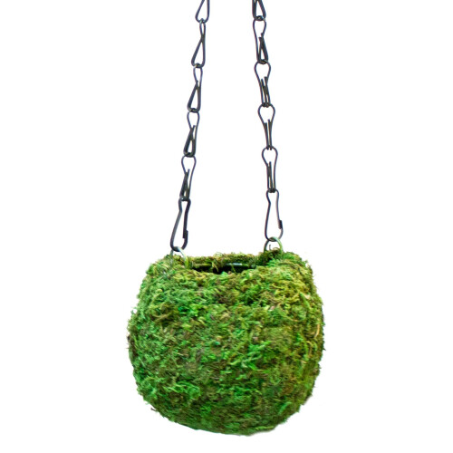 SuperMoss (29346) Kokedama Planter  4""""  Fresh Green