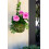SuperMoss (29346) Kokedama Planter  4""""  Fresh Green 4