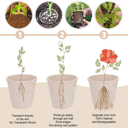 Biodegradable Peat Pots Set (10-piece) 2