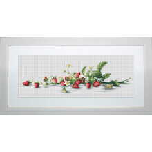Kit per punto croce - LUCAS - B2266 - Tela Aida 7,2 14,5x50 cm - 34 colori assortiti - Motivo ramo di fragole