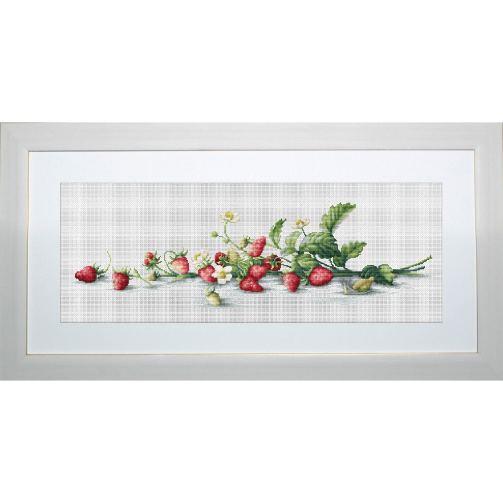 Lucas -S Etude With Strawberries Counted Cross Stitch Kit Pack Of 1