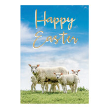 Pack of 5 Happy Easter Hospice UK Charity Spring Lambs Easter Cards