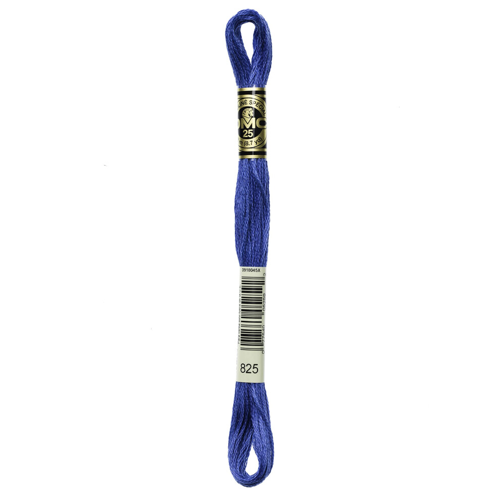 Dmc 6-Strand Embroidery Cotton 8.7yd-Dark Blue