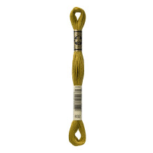 Dmc 6-strengs broderi bomuld 8,7 yd-gylden oliven