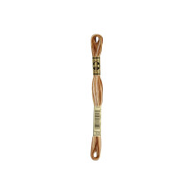 DMC 6-streng broderi bomuld 8.7yd-variegeret brun