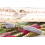 DMC Dmc 6-                                         8,7               - 4