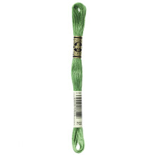 DMC 6-streng broderi bomuld 8.7yd-Kelly Green