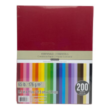 Recollections Cardstock Paper Essentials 20 Farben  200 Blatt 8-1/2 x 11