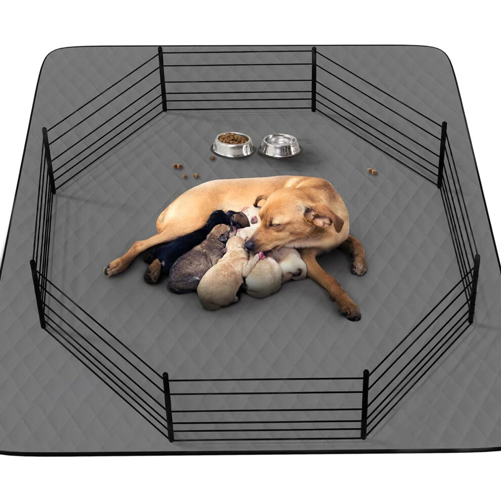 Tapis de propret    lavable pour chiots, lot de 2, 86 x 132 cm, imperm   able, pour la mise bas, le parc, la cage, le pot, le sol, le lit, le canap