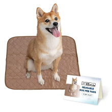 Ezwhelp Reutilizable Dog PEE PADS - Patiere de antrenament impermeabile pentru cini - lavabili ?i sanitari - col?uri rotunjite - Linuminat Light