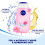 NIVEA Nivea Bath Shower ??d? ???fa??? 250 ML ???dat??? ?a?a??st??? ????at?? ?e ????e? ??a??? ?a? ????a ???fa??? 3
