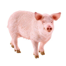Figurine    ducative Schleich Farm World Pig pour enfants de 3     8 ans