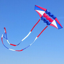 Beach Kites for Adults Large with Long Tail, 98 inches Super Easy Flyer 3D Rainbow Box Kites, Come with 49 Feet Multi Colors Tails x 2, 300 ft Kite St