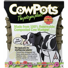 Macetas plantables cuadradas de 4 pulgadas, paquete de 12