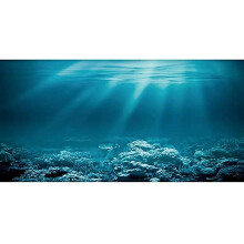 AWERT 24x16 tommer unders?isk tema akvarium baggrund Sunshine Underwater World Fish Tank Baggrund Vinyl