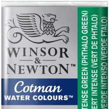 Peinture aquarelle Winsor & Newton Cotman, demi-godet, vert intense