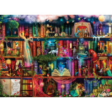 Buffalo Games - Aimee Stewart - Treasure Hunt Bookshelf - 1000 Piece Jigsaw Puzzle for Adults -Challenging Puzzle Perfect for Game Nights - Finis