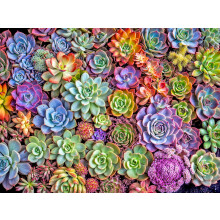 Lucky Puzzles Green Thumb Gala | 500 Piece Jigsaw Puzzle for Adults | Premium Quality | Colorful Artwork Puzzle | Brain Teasing Fun & Perfect Wal