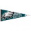 Philadelphia Eagles Pennant 12x30 Premium -Stil 1