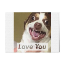 (Mr Bubbs Loves You!=3112) Canvas Print DIY Framed Kit Wall Art for Living Room Bedroom Retro Farmhouse Decor 16x20 inch