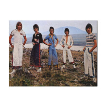 (Bay City Rollers Dedication=2037) Canvas Print DIY Framed Kit Wall Art for Living Room Bedroom Retro Farmhouse Decor 16x20 inch