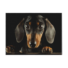 (Dachshund Dog Photo Portrait=576) Canvas Print DIY Framed Kit Wall Art for Living Room Bedroom Retro Farmhouse Decor 16x20 inch