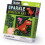 CROCODILE CREEK Dinosaur Sparkle Scratch Art Ensemble de 6 pi   ces 1 unit 1