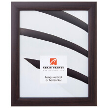 Craig Frames 23247778 4 by 6-Inch Picture Frame Smooth Wrap Finish 1-Inch Wide Brazilian Walnut Brown
