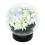 Achla Designs Glasblumenvase, Globe Vase 3