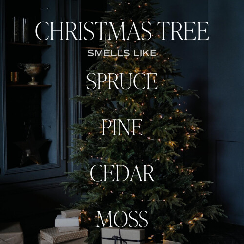 Sweet Water Decor Christmas Tree Reed Diffuser Set - Spruce Pine Needles Cedar and Moss Scented Diffusers - Scent Diffusers for Home Long Las 2