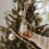 Sweet Water Decor Christmas Tree Reed Diffuser Set - Spruce Pine Needles Cedar and Moss Scented Diffusers - Scent Diffusers for Home Long Las 4