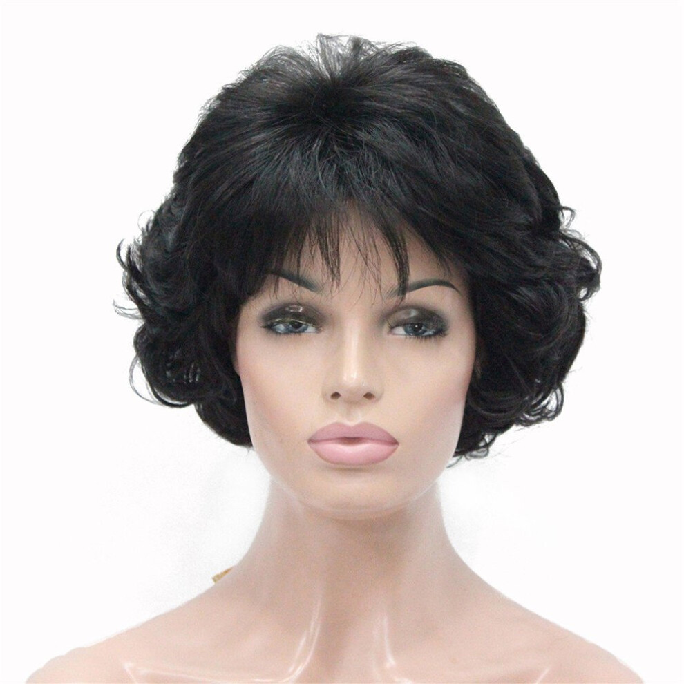 ?????E Unisex Black Aimole Short Curly Synthetic Wig Full Capless Hair Daily Wigs (2 Natural )