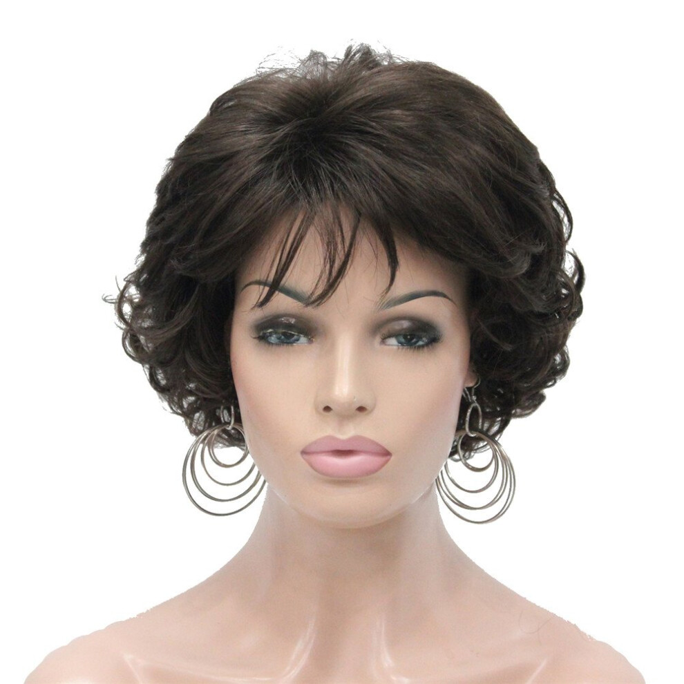 Aimole Unisex Brown Short Chestnut Curly Synthetic Wig Full Wigs Women's Thick Hair For Everyday (6 Chestnut )