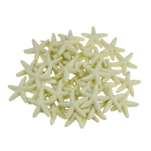LJY 40 Pieces 1.2 Inches Beige Resin Pencil Finger Starfish for Wedding Home Decor and Craft Project