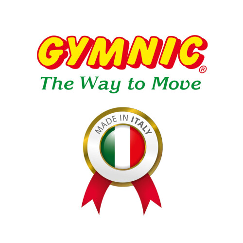 Gymnic Arte Plus Palla da Esercizio Resistente (65 cm) 2