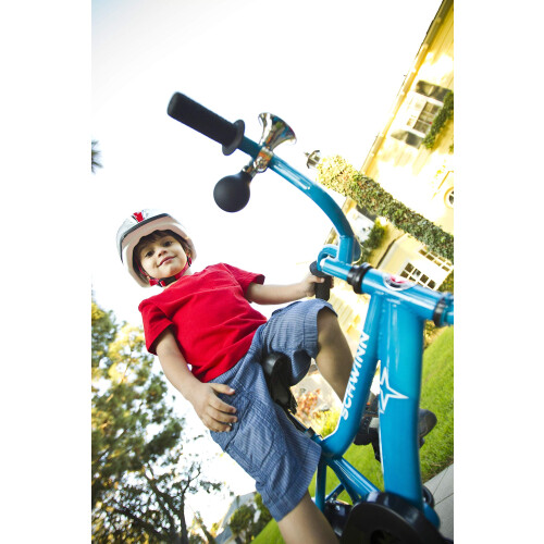 Schwinn Schwinn Cl 2