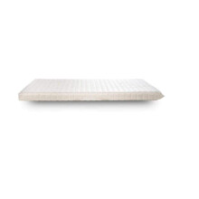 EVERGREENWEB - Orthopaedic Water Foam Mattress for Sofa or Bed, Height 10 cm (80 x 190 cm)