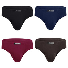 wirarpa Men's Underwear 4 Pack Modal Microfiber Briefs No Fly Covered