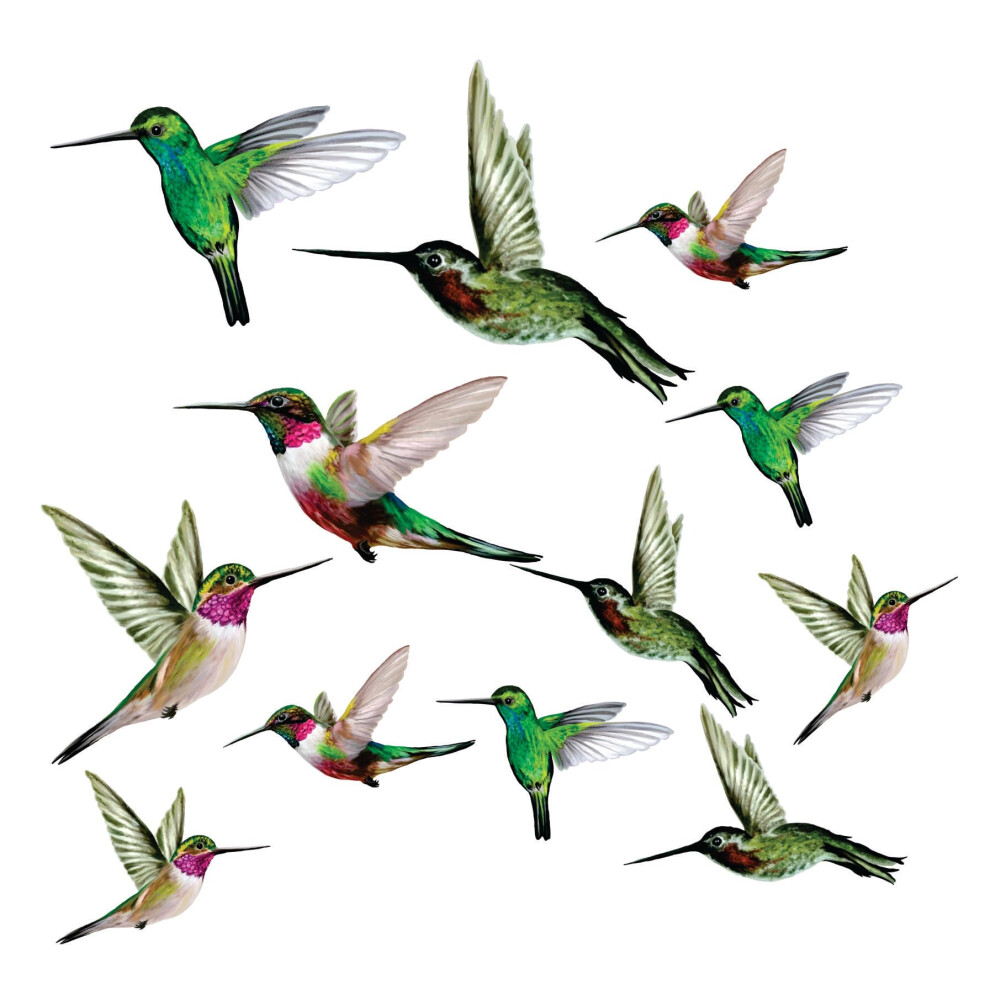 Lot De 12 Autocollants Colibris Pour Fen Tres, Portes Et Panneaux Transparents. Autocollants Pour Vitres Anti-Collision Alerte Oiseaux. Fabriqu-image