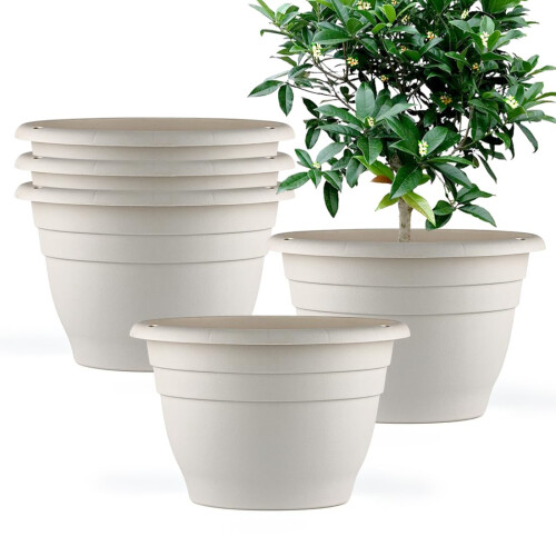Lage Schaal Plantenbak | Hydroponische Bloempot | Multifunctionele Ruime Plantenschaal Voor Bloemen Binnen En Buiten, Hydroponie En Vetplanten
