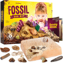 Real Fossil Dig Kit for Kids - Mega Science Kits for Boys & Girls Age 8-12 - Birthday Easter Gift Ideas for 8, 9, 10, 11, 12 Year Old Boy or Girl - F