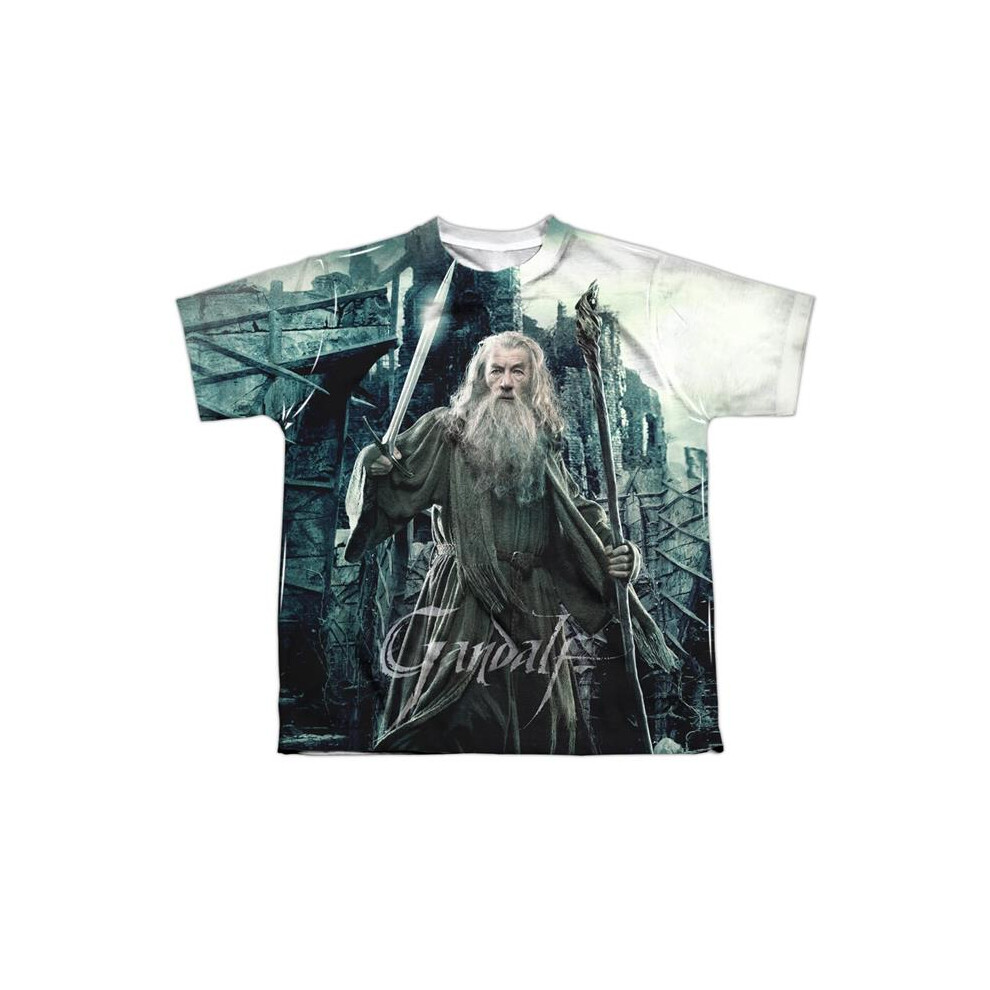Trevco Sportswear HOB3015-YTPP-4 Hobbit Wizard Youth Short Sleeve T-Shirt, White - Extra Large-image-OPC-PGCFBC2-NEW