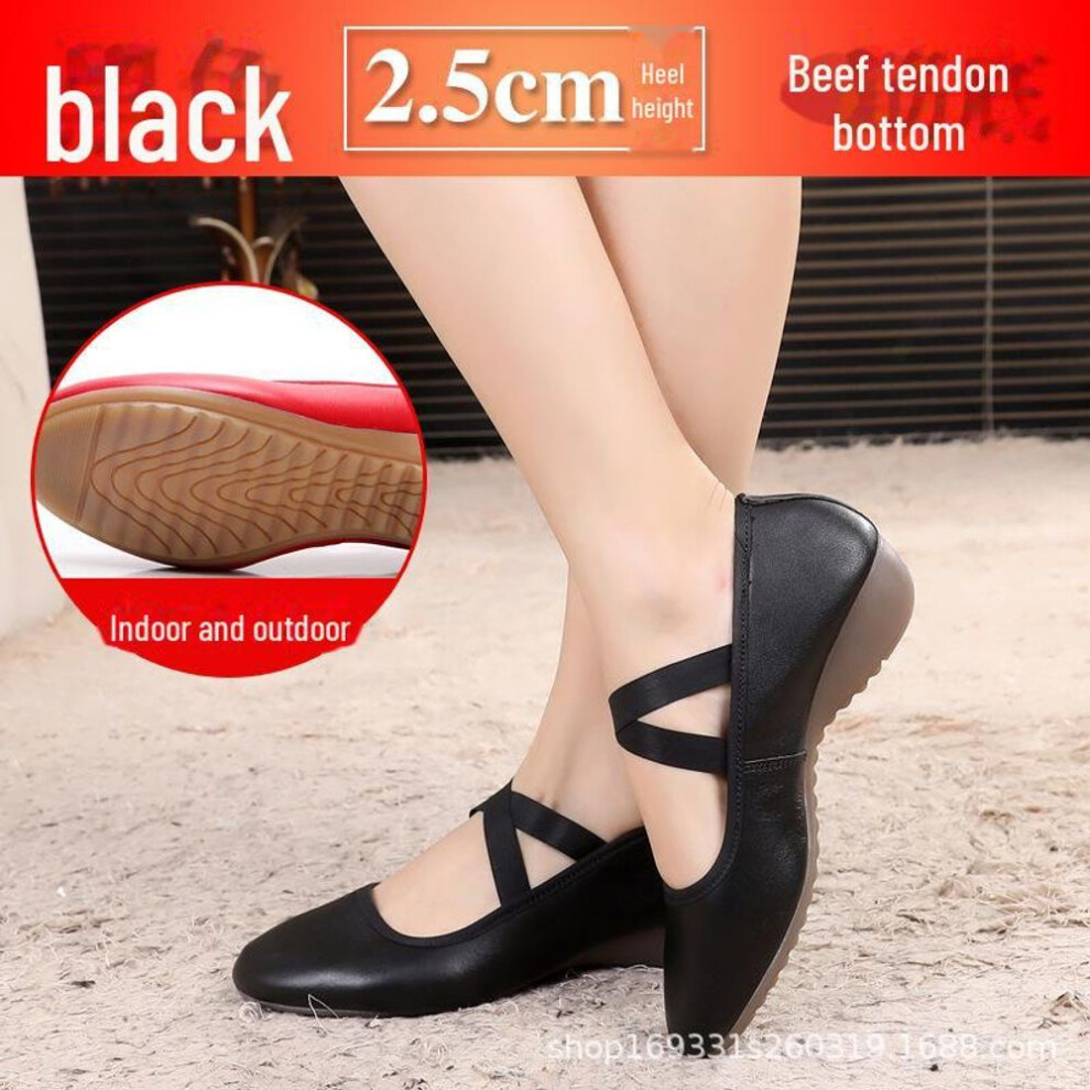(black, 40) Women's Soft Leather Ballroom Dance Shoes - Low Heel, Flat Heel, Cowhide Sole